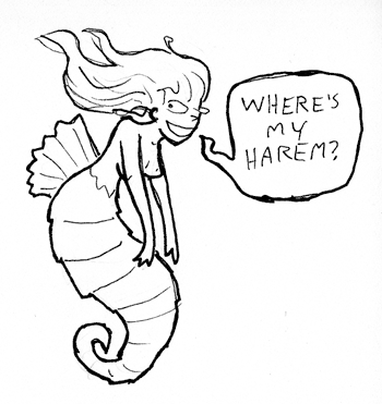 seahorse mermaids have harems